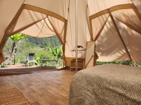 Tipi Tom
